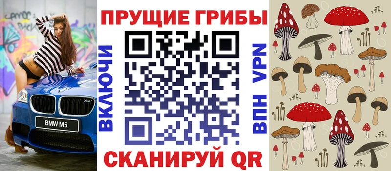 магазин продажи   Черняховск  Галлюциногенные грибы мицелий 