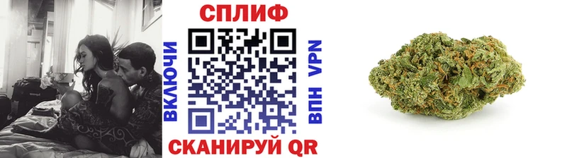 Конопля SATIVA & INDICA  мега как войти  Черняховск 